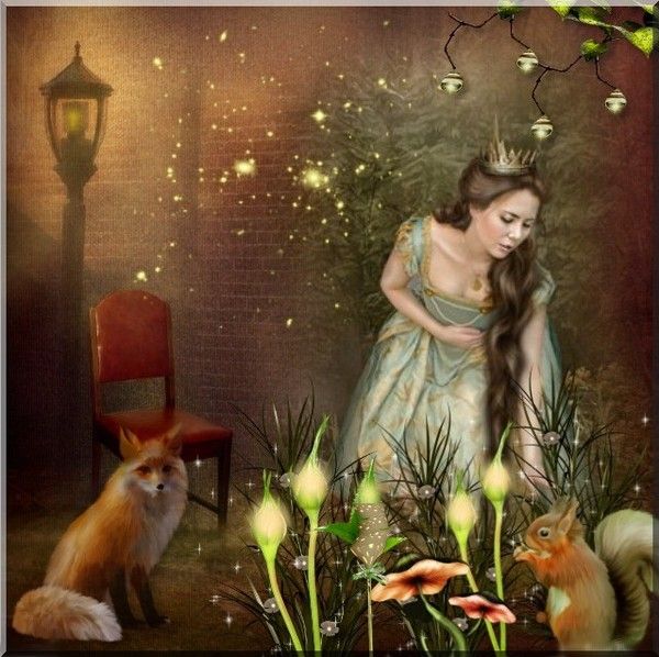 BELLE IMAGE