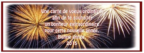 BONNE ANNEE A TOUS