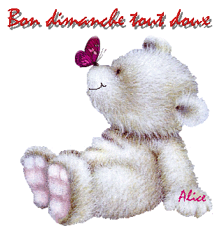 BON DIMANCHE A TOUS