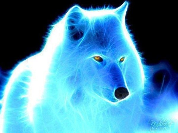 Alpha et Omega - Tome 1 : Le cri du loup de Patricia Briggs 4342289d