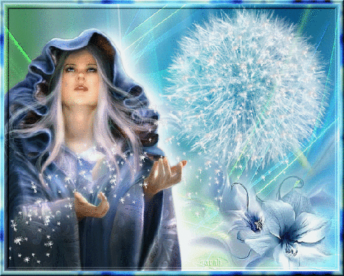 BELLE IMAGE