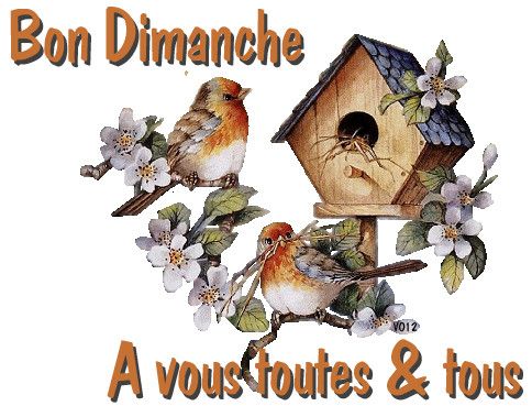 BON DIMANCHE