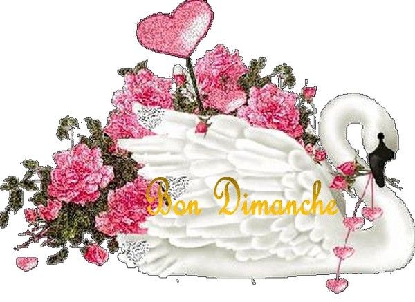 BON DIMANCHE A TOUS